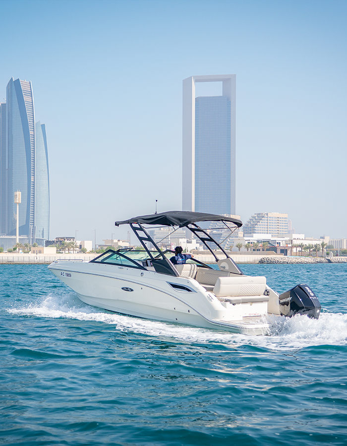 Sea Ray SDX 250 Inboard