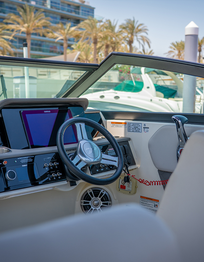 Sea Ray SDX 250 Inboard