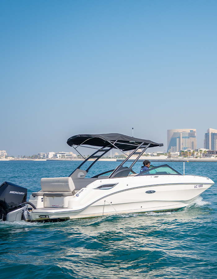 Sea Ray SDX 250 Inboard