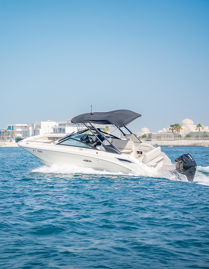 Sea Ray SDX 250 Inboard