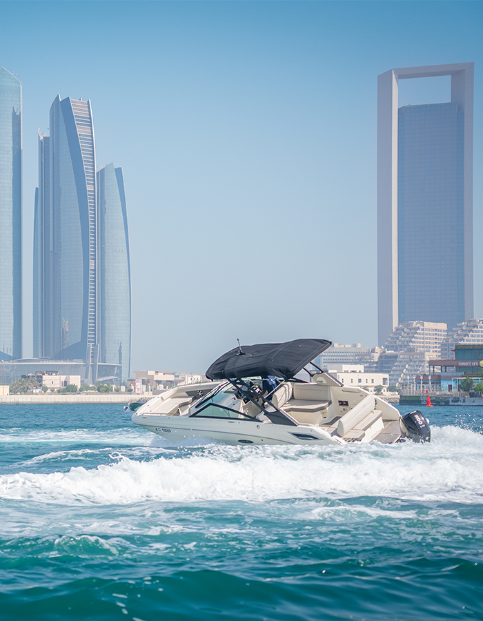 Sea Ray SDX 250 Inboard