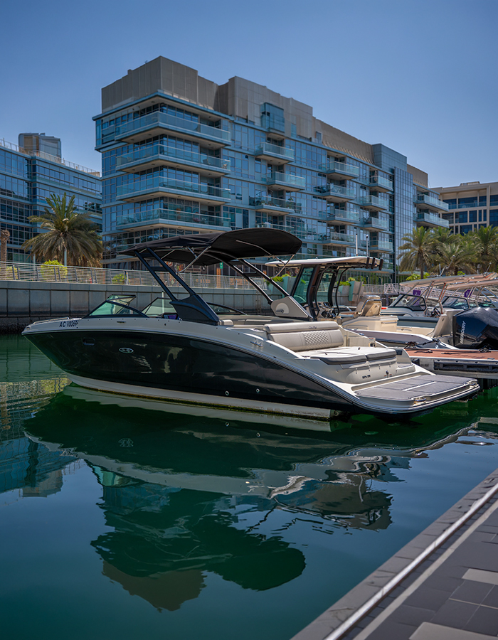 Sea Ray SDX 270