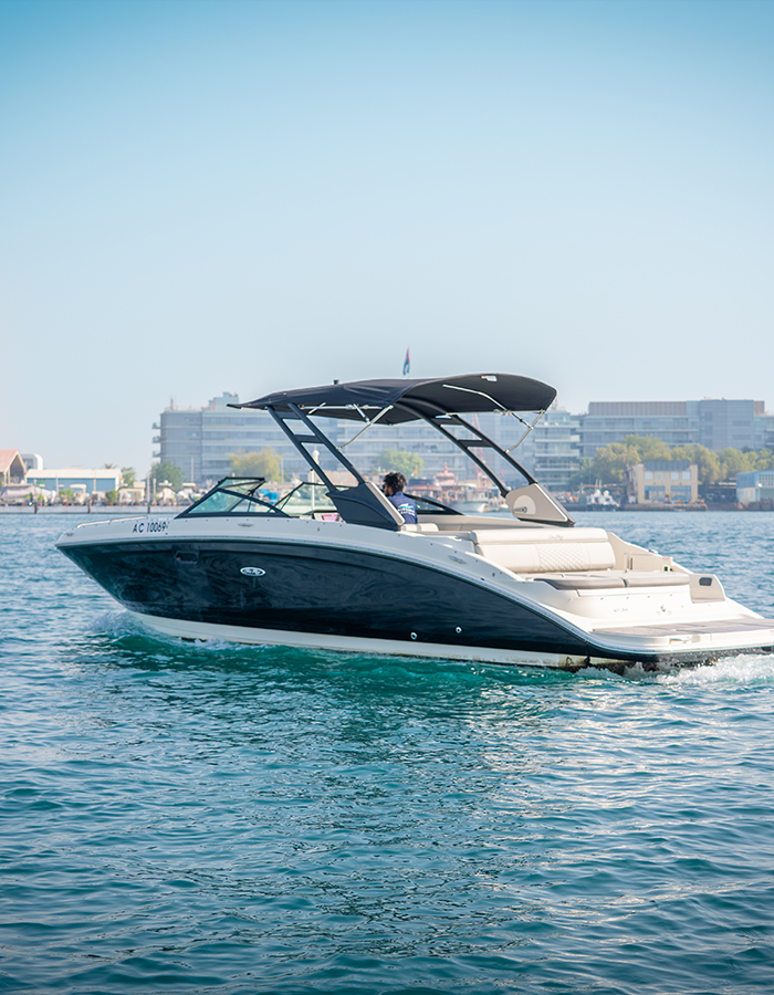 Sea Ray SDX 270