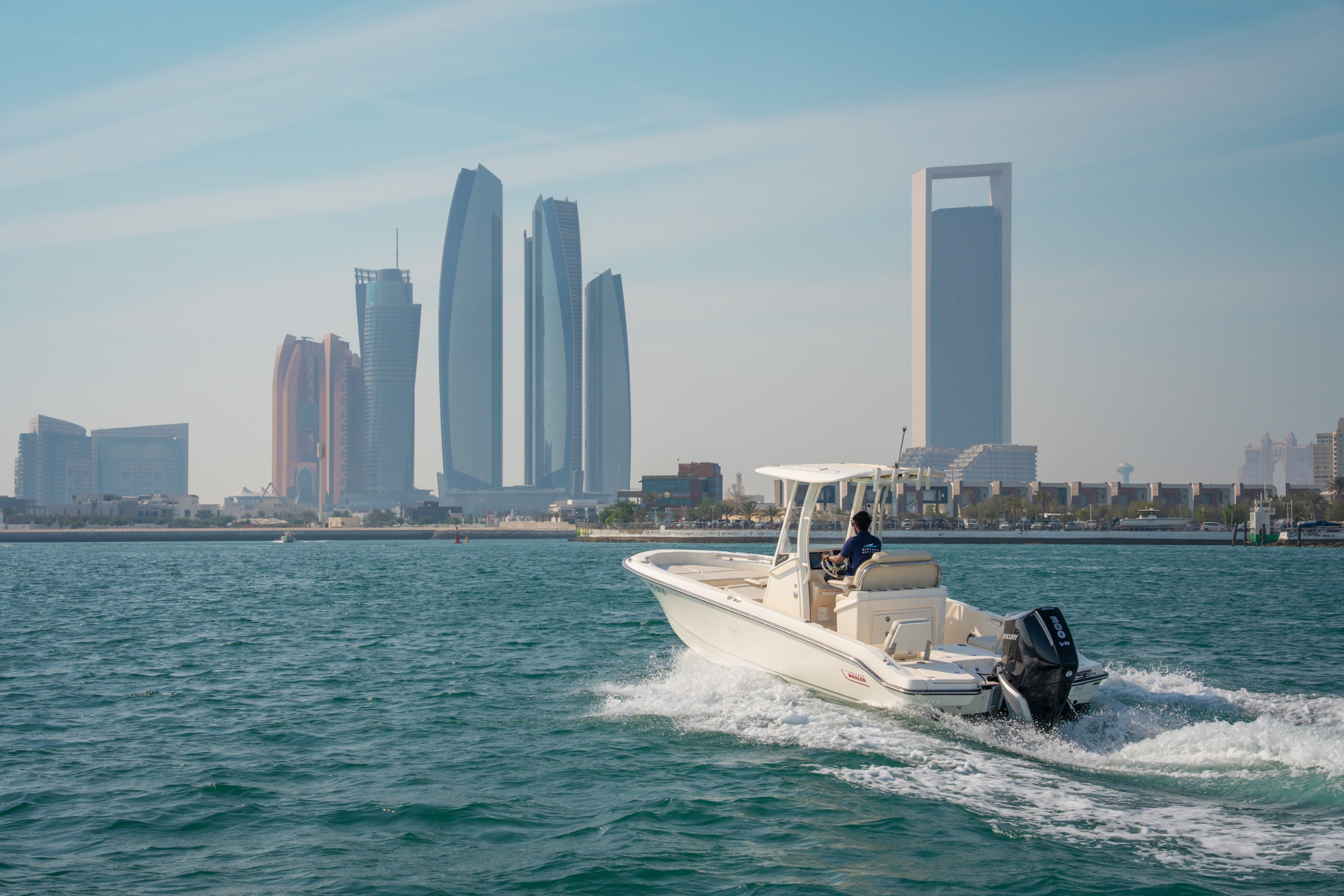 Boston Whaler 250 Dauntless
